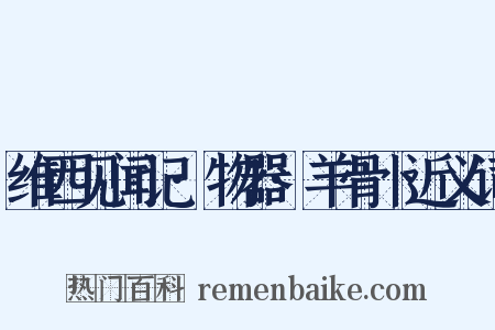 维西见闻记·物器·羊骨卜近义词是什么意思的图片